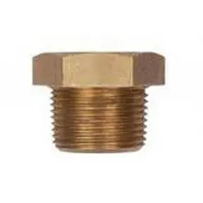 Brass Plug