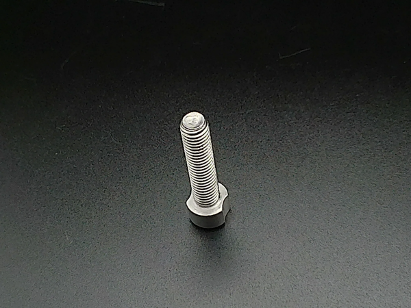 Saildrive Scalloped Locking Bolt (thread)